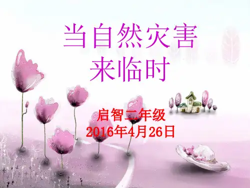 当自然灾害来临时ppt