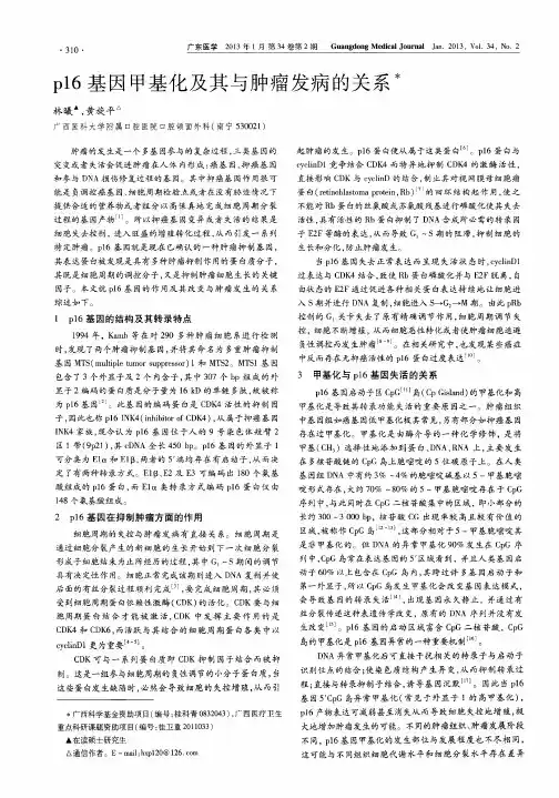 p16基因甲基化及其与肿瘤发病的关系