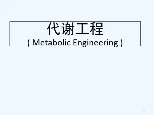 代谢工程概述-PPT