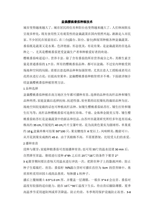 盆栽樱桃番茄种植技术