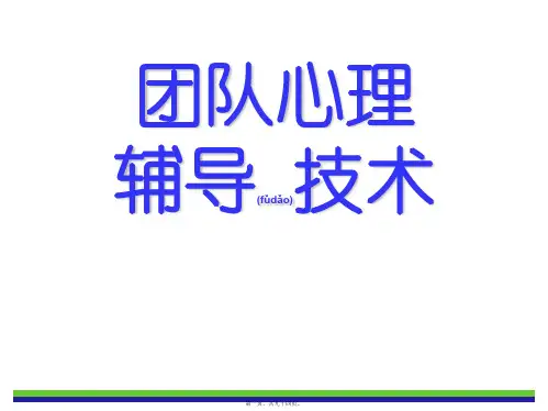 团队心理辅导技术(ppt版)
