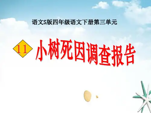《小树死因调查报告》 精选优质课件