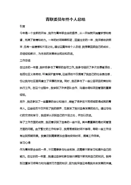 青联委员年终个人总结