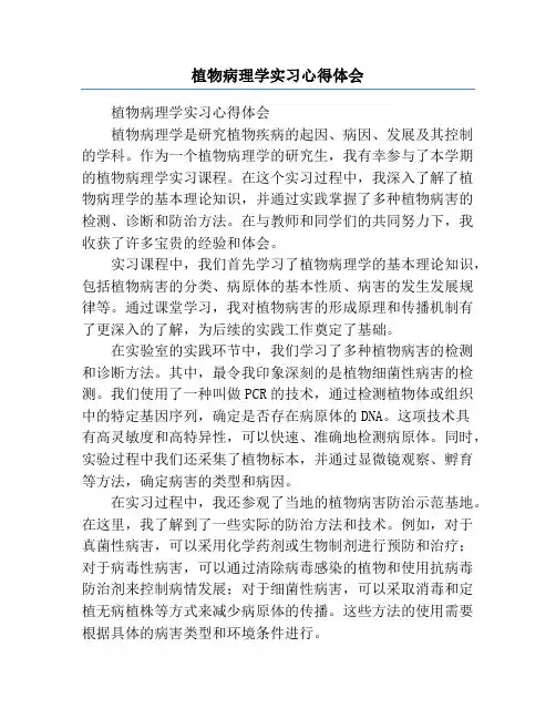 植物病理学实习心得体会