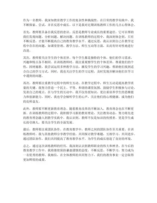 反思训练教师心得体会范文