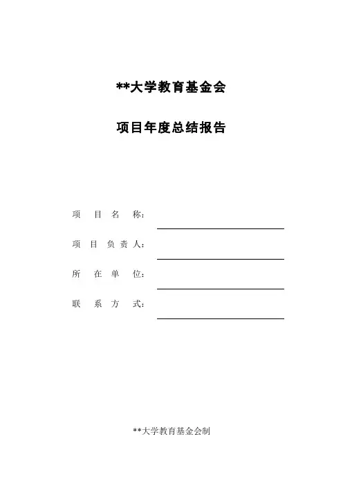 项目年度总结报告模板