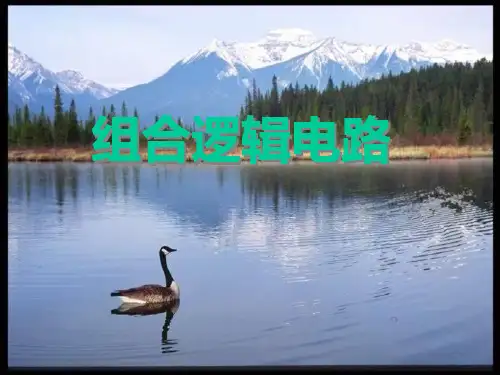 电工学组合逻辑电路习题