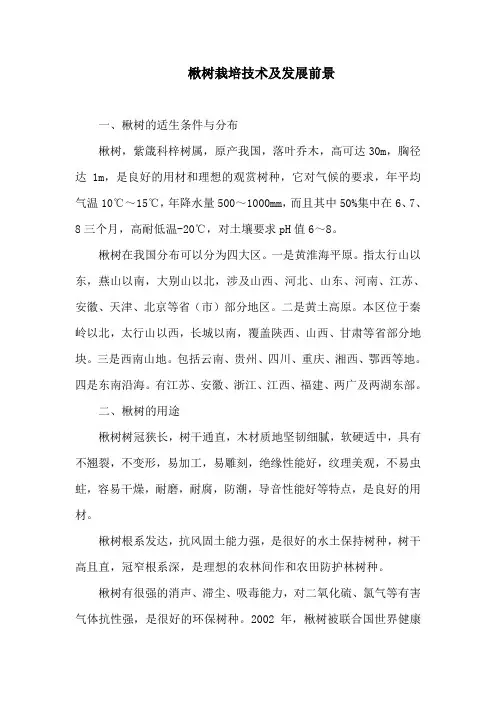 楸树栽培技术及发展前景