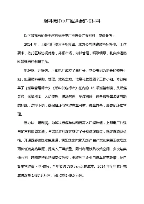 燃料标杆电厂推进会汇报材料