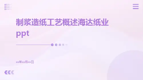 制浆造纸工艺概述海达纸业ppt