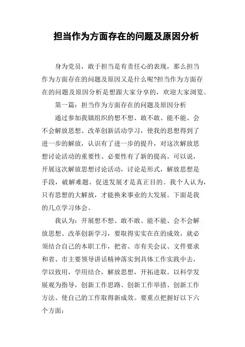 担当作为方面存在的问题及原因分析