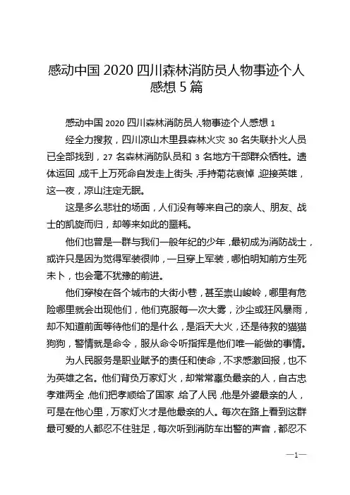 感动中国2020四川森林消防员人物事迹个人感想5篇