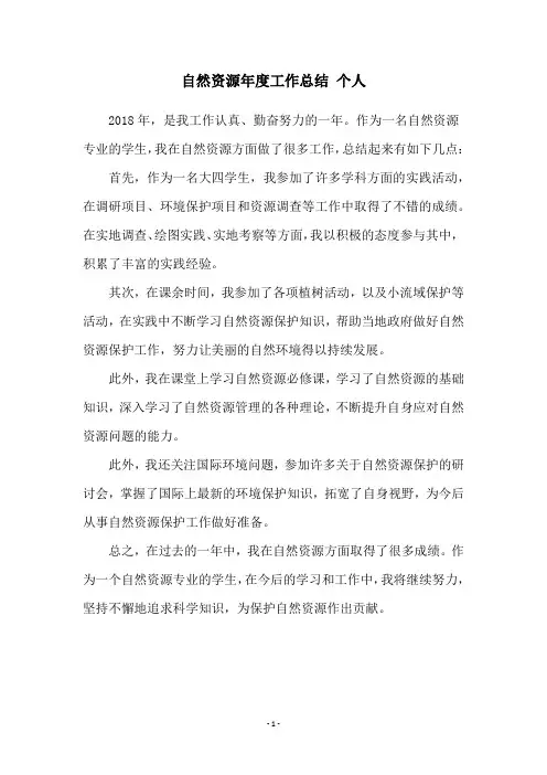 自然资源年度工作总结 个人