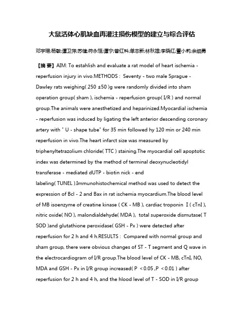 大鼠活体心肌缺血再灌注损伤模型的建立与综合评估