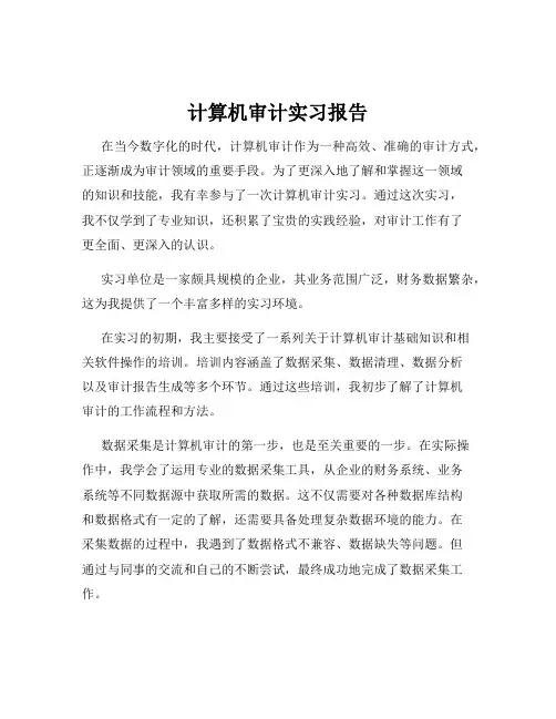 计算机审计实习报告