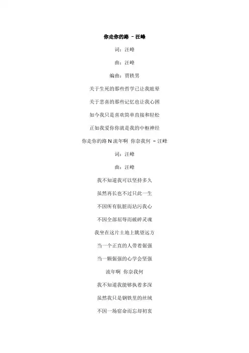 你走你的路文本歌词