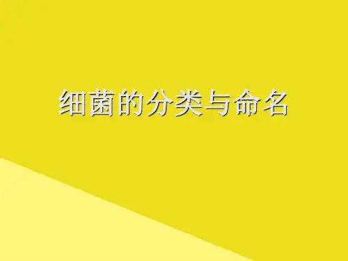 细菌的分类与命名PPT资料(正式版)