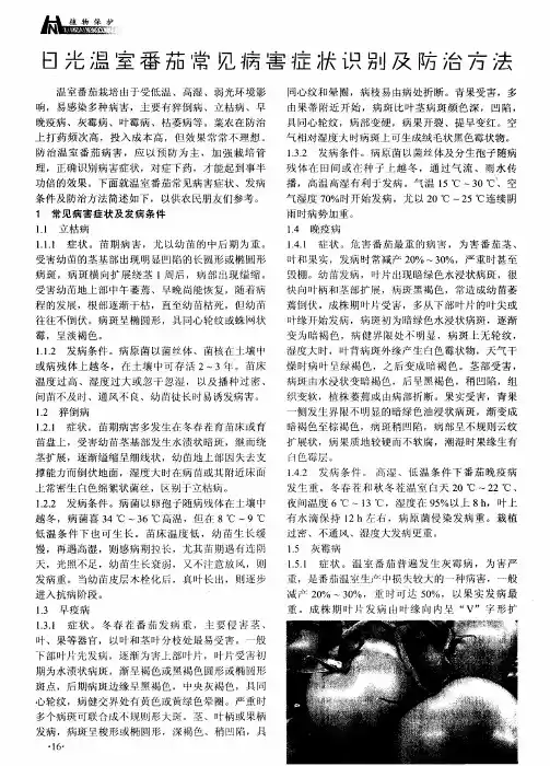 日光温室番茄常见病害症状识别及防治方法