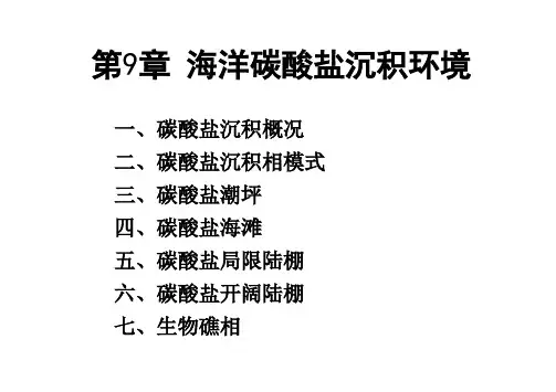 9 海洋碳酸盐沉积环境