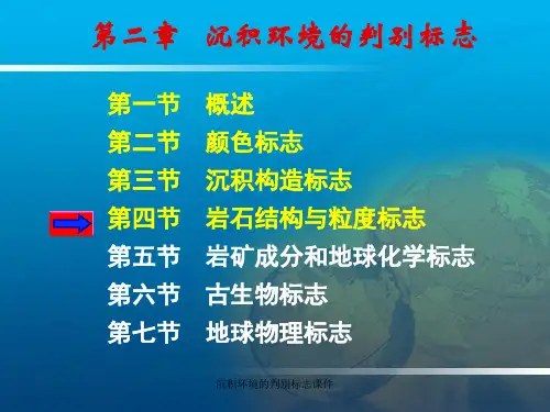沉积环境的判别标志课件