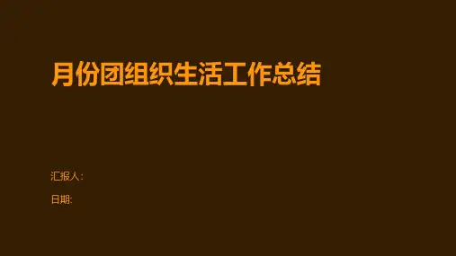 月份团组织生活工作总结