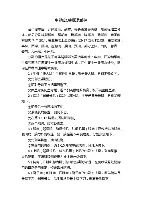 牛部位分割图及部件