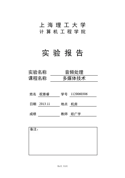 多媒体实验报告音频处理