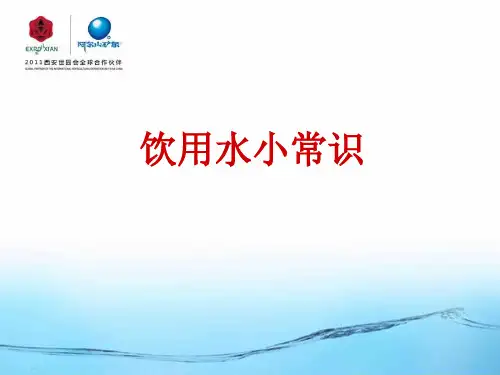 阿尔山矿泉介绍90页PPT