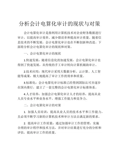 分析会计电算化审计的现状与对策