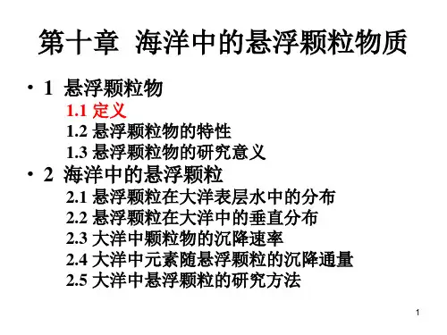 13 海洋中的悬浮物