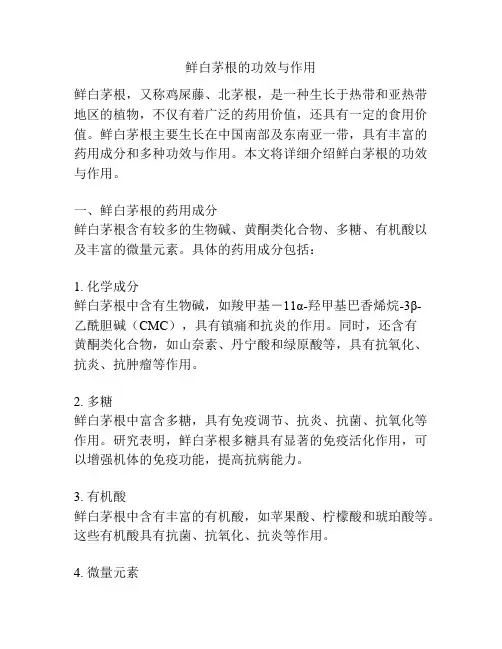 鲜白茅根的功效与作用