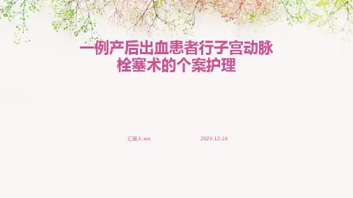 一例产后出血患者行子宫动脉栓塞术的个案护理PPT课件