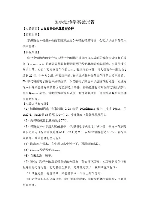 人类显带染色体核型分析