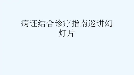病证结合诊疗指南巡讲幻灯片