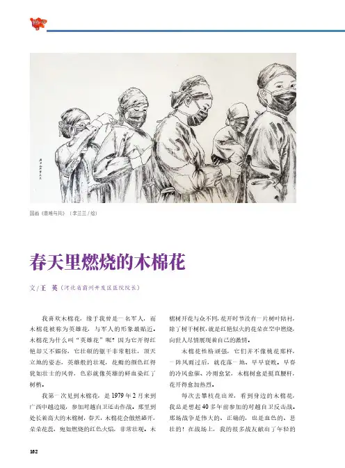 春天里燃烧的木棉花