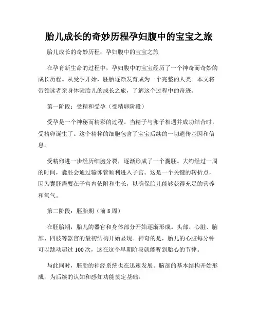 胎儿成长的奇妙历程孕妇腹中的宝宝之旅