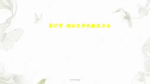 金融工程学期权定价的数值方法课件