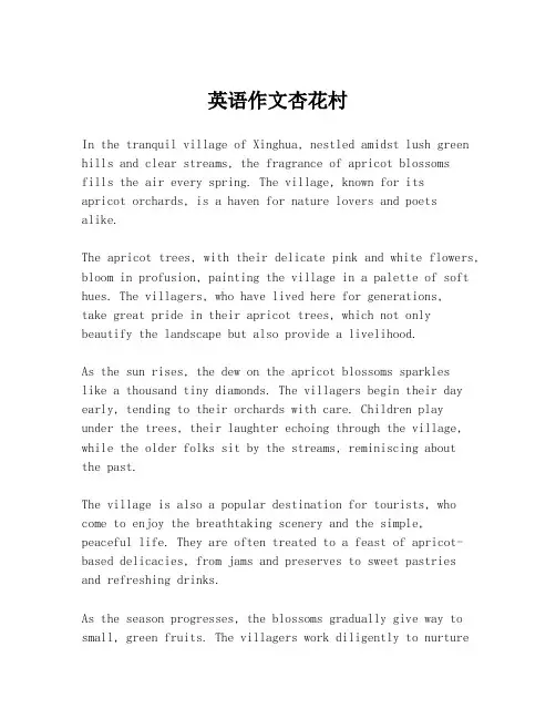 英语作文杏花村