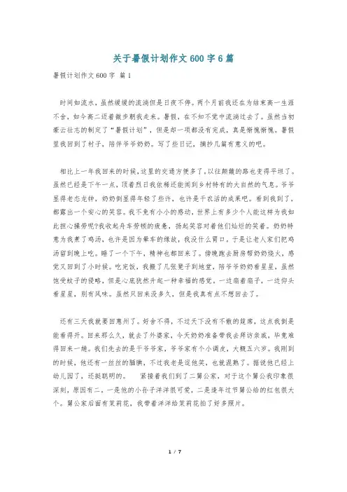 关于暑假计划作文600字6篇