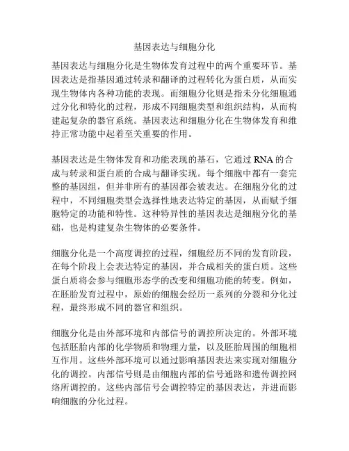 基因表达与细胞分化