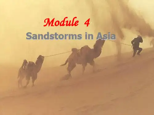 高中英语 Module4 Sandstorms in Asia Reading and Vocabulary课件 外研社必修3