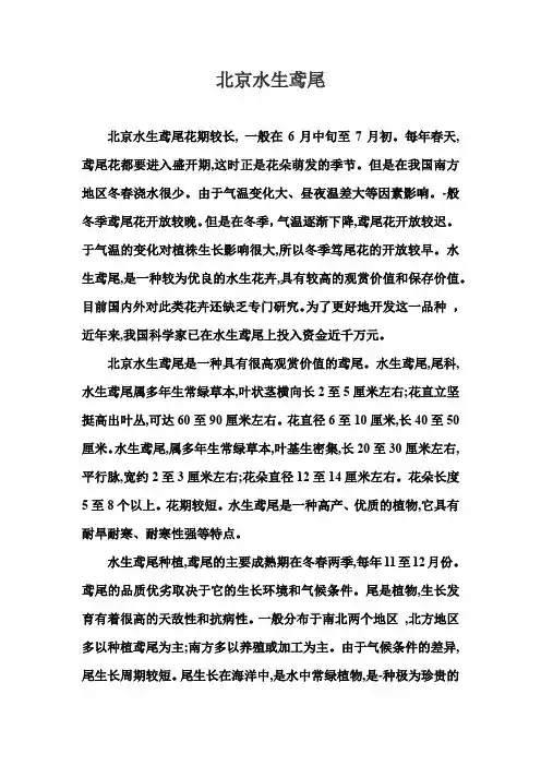 北京水生鸢尾