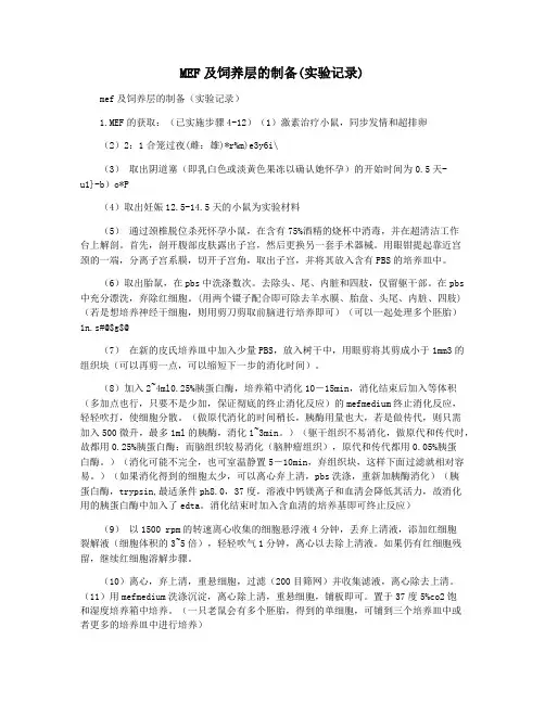 MEF及饲养层的制备(实验记录)