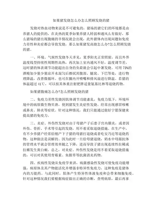 如果猪发烧怎么办怎么照顾发烧的猪