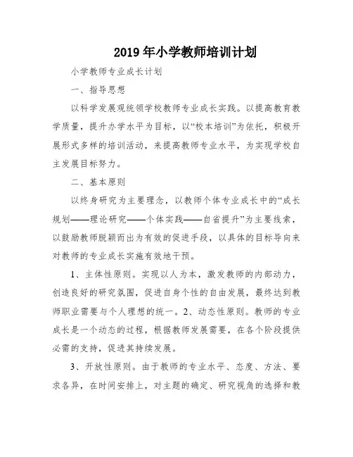 2019年小学教师培训计划