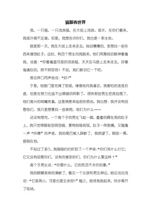 五年级作文：猫眼看世界作文800字