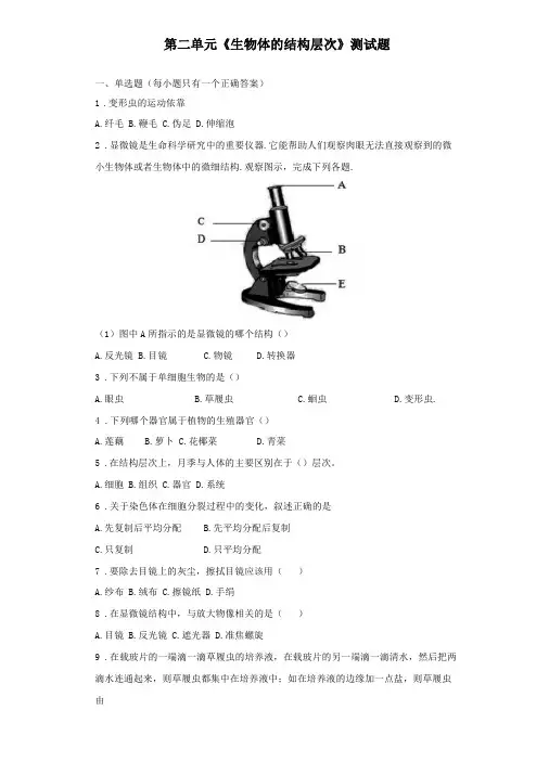 人教版生物七年级上册生物体的结构层次测试题含答案