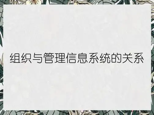 组织与管理信息系统的关系