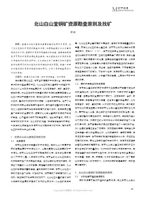 211169372_北山白山堂铜矿资源勘查原则及找矿