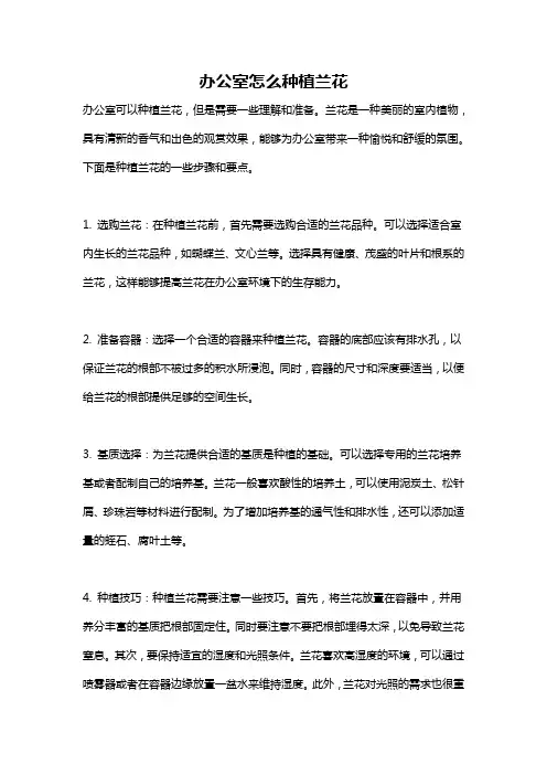办公室怎么种植兰花